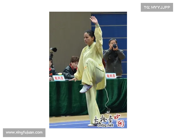 2014年武术赛事(2015年武术比赛)